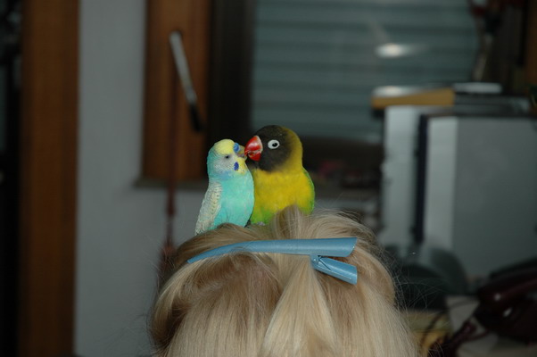 14Img2005-01-26-0008_redimensionner.JPG