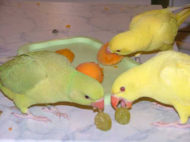 Perso.jpg
