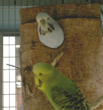 PICT1282.JPG