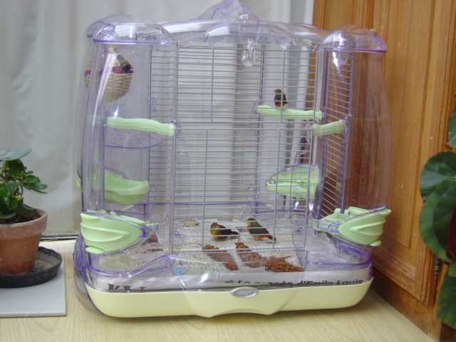 nvelle cage.jpg
