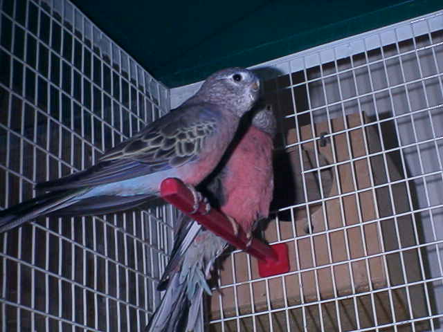RIM00116.JPG