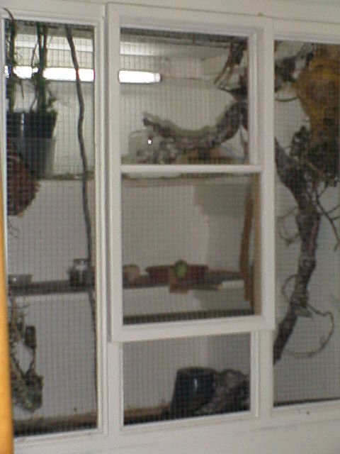 RIM00128.JPG
