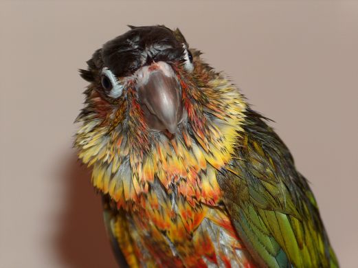 aprÃ¨s bain.jpg