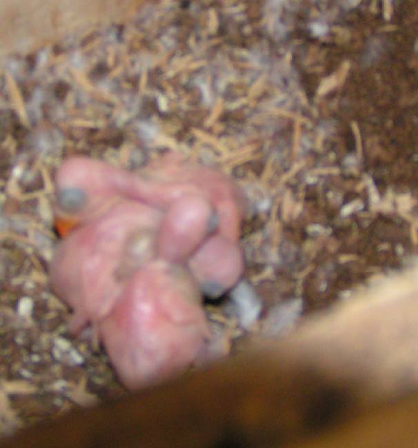 Pic327.jpg