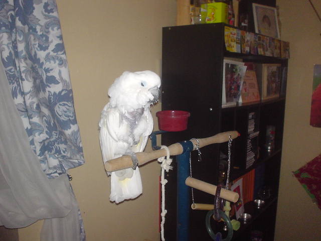 Photo 004.jpg