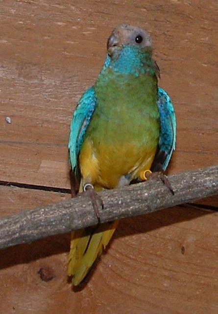 DSCF066.JPG