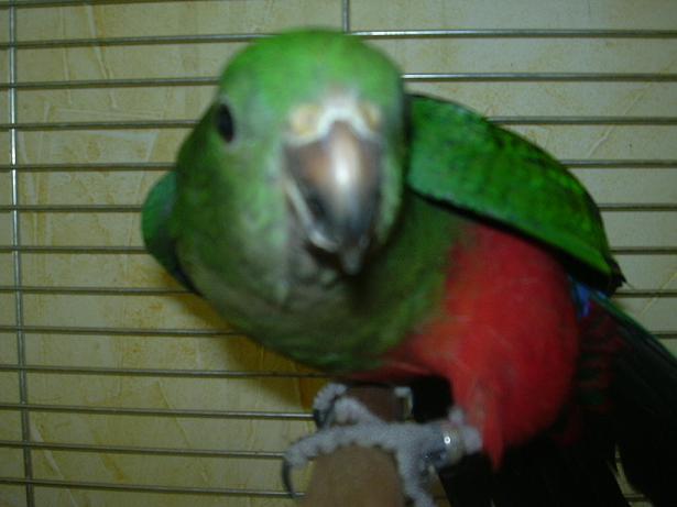 DSCN0288.JPG