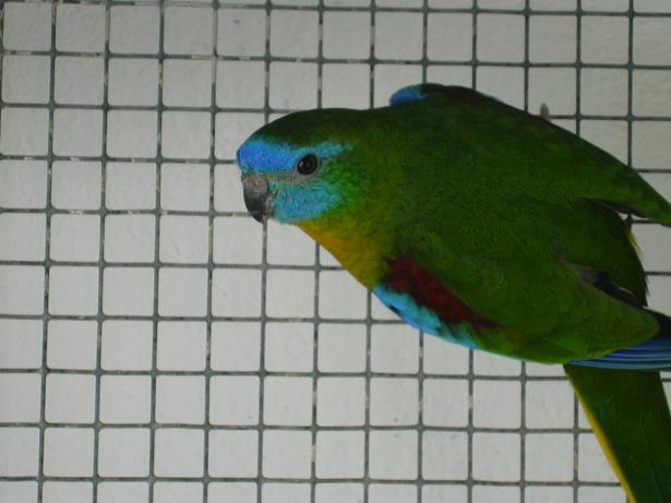 DSCN0473.JPG