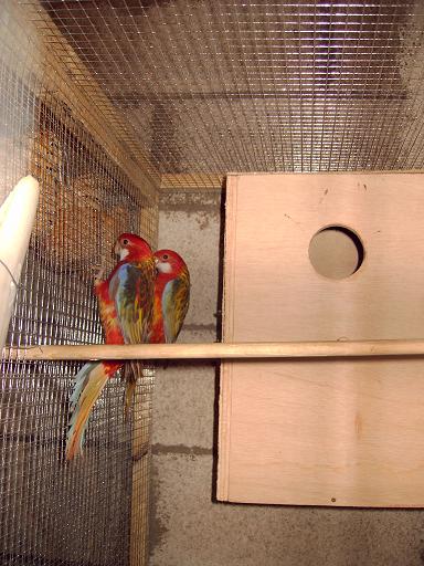 Photo 036.jpg
