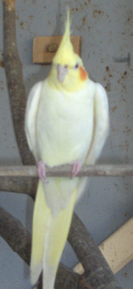 HPIM0449.JPG
