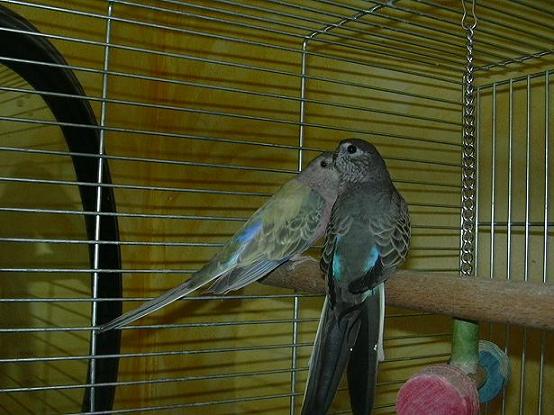 DSCN0912.JPG