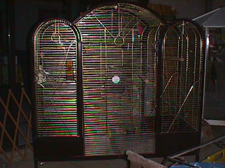 cage aperro.jpg