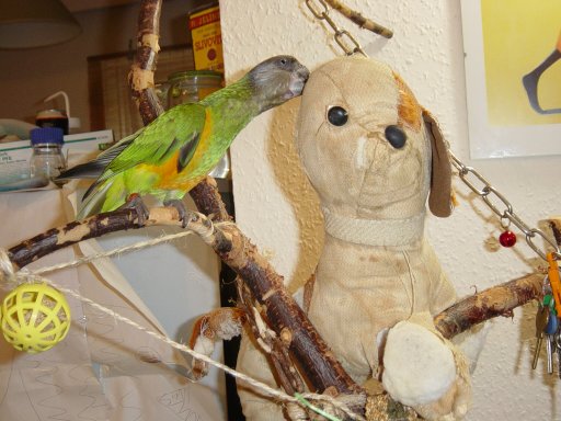DSC00118~1.JPG