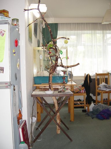 DSC00121~1.JPG