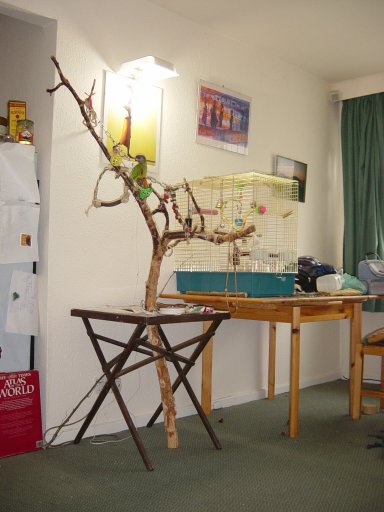 DSC00120~1.JPG