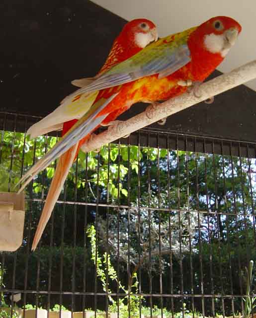 Omnis_2005_04_005.jpg