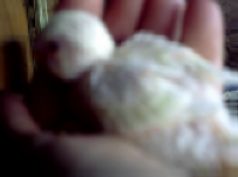 saison05bb1C1(2).jpg