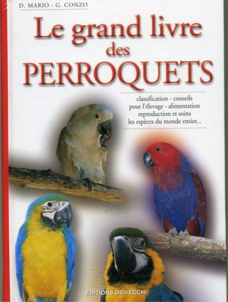 perroq-devecchi.jpg