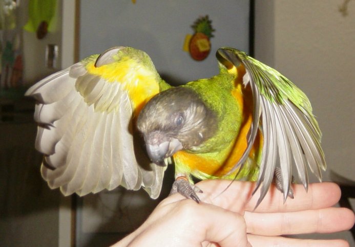 DSC00123~1.JPG