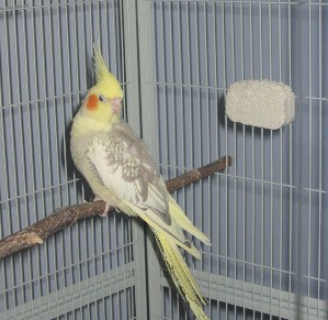 IMG_3758.JPG
