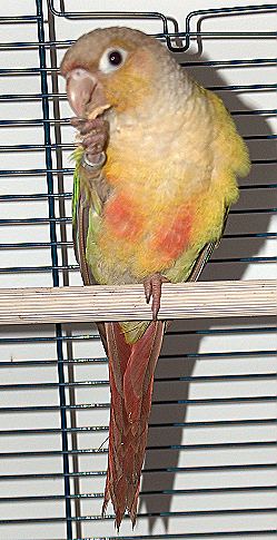 2005-06-01 009.jpg