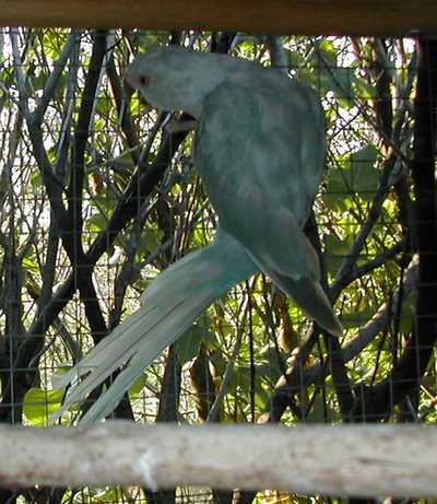 DSCN2689.jpg