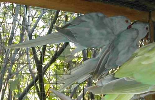 DSCN2691.jpg