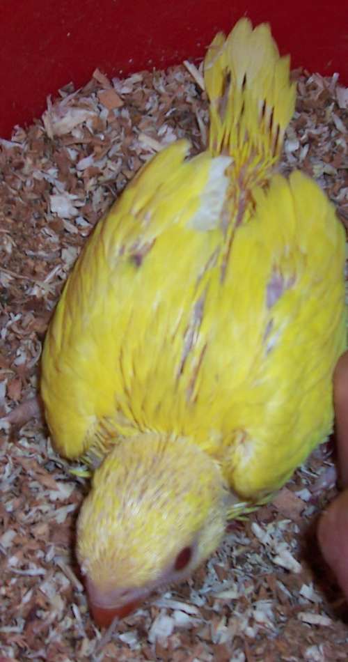 100_1115.jpg