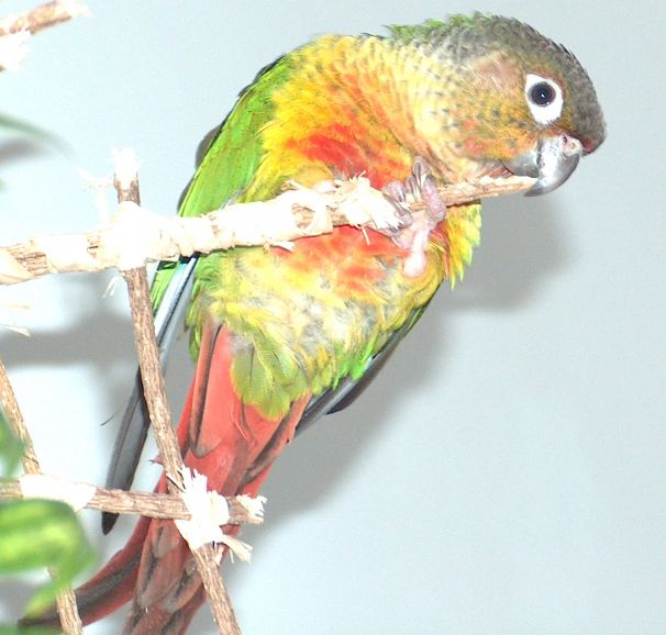 2005-06-06 013.jpg