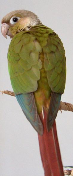 2005-06-06 046.jpg