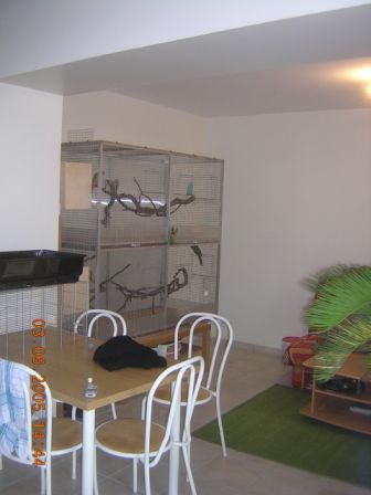 DSCN3259.JPG