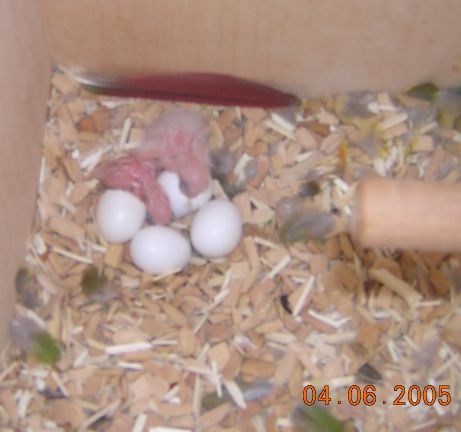 DSCN3261.JPG