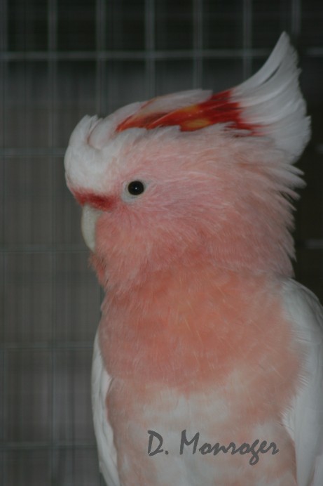Test 3.jpg