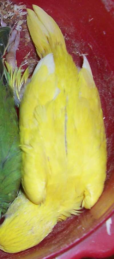 100_1135.jpg