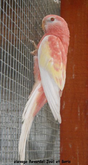P1010036.jpg