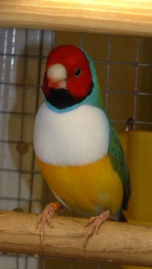 tr-pb 2004.JPG
