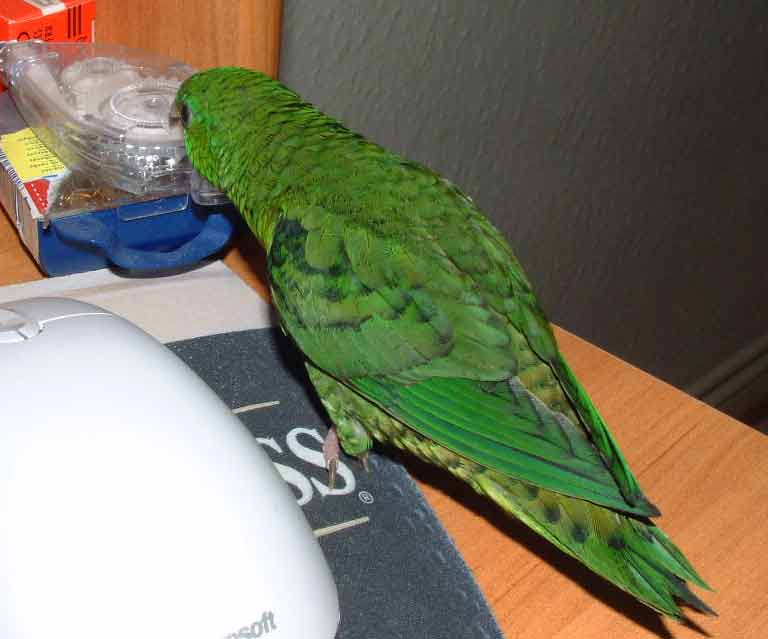 Lilou2.jpg