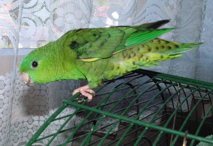 Lilou1.jpg