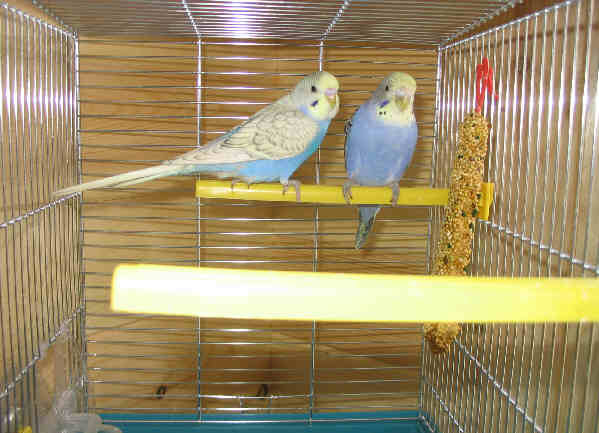 190_9099.JPG