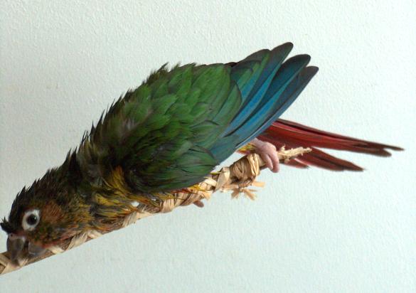 2005-06-13 030.jpg