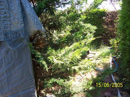 100_1140.jpg