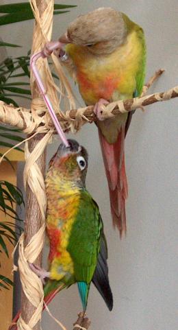 2005-06-15 034.jpg