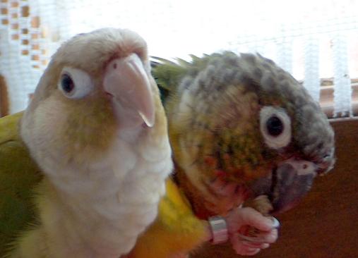 2005-06-23 019.jpg