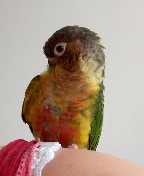 2005-06-24 015.jpg