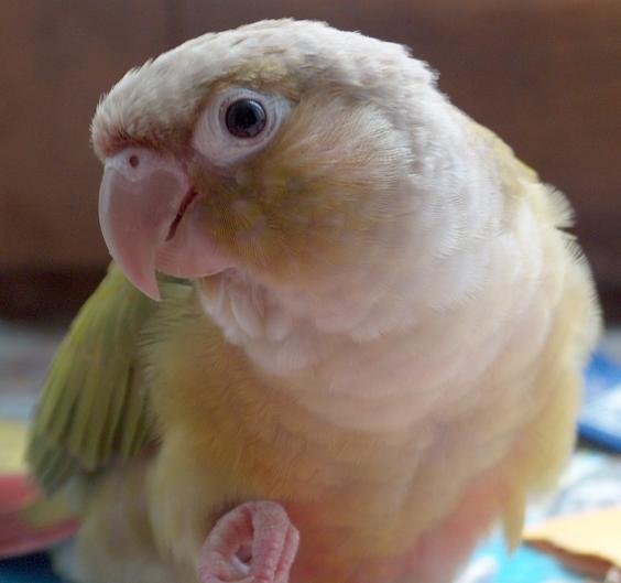 2005-06-24 054.jpg
