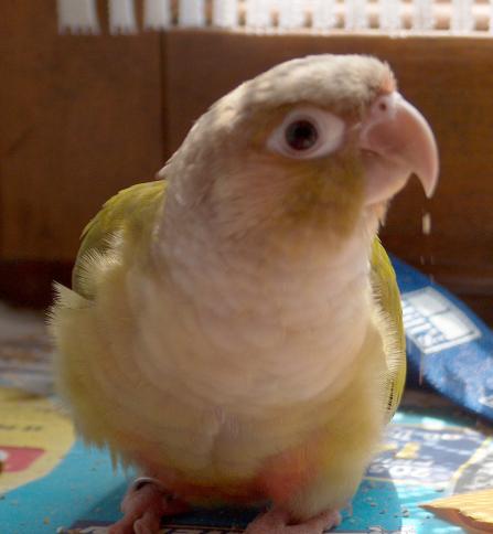 2005-06-24 053.jpg