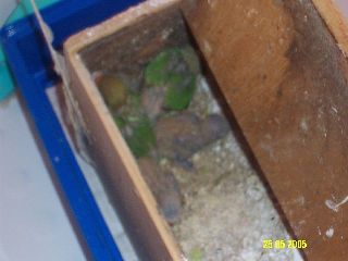 250605_1.jpg