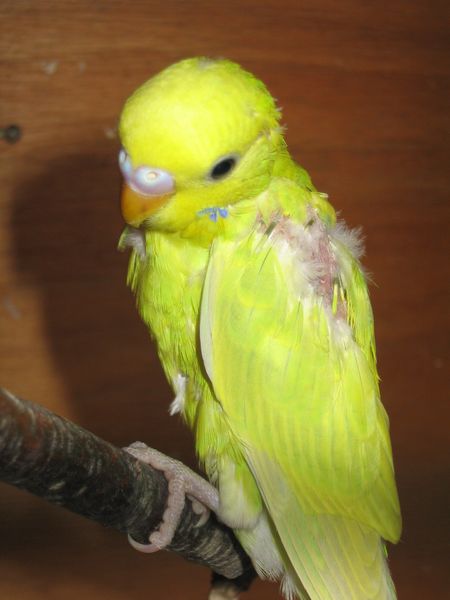 100_0037.JPG