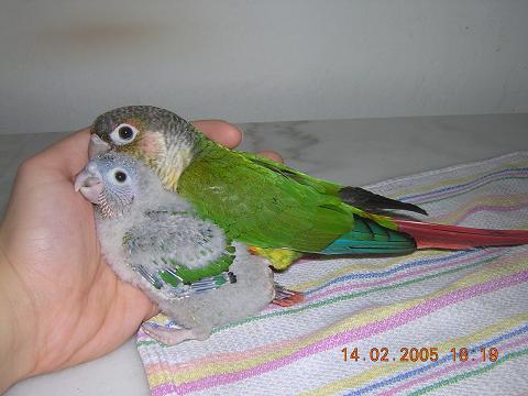 Photo 012.JPG