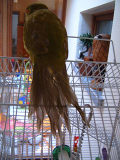 S4300057.jpg